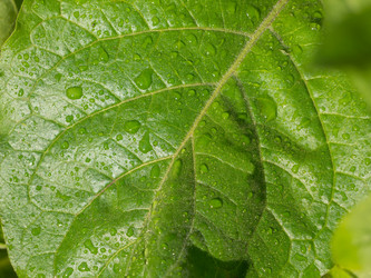 Similar image 21359975