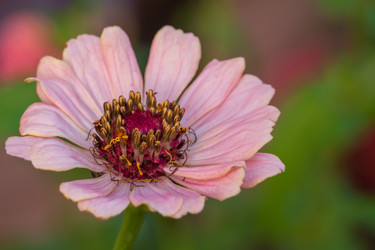 Similar image 21359977