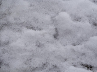 Similar image 21359982