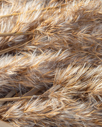 Similar image 21359983