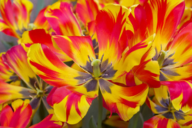 Similar image 21360603