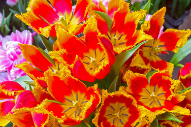 Similar image 21360605