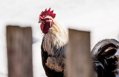 Similar image 21360844