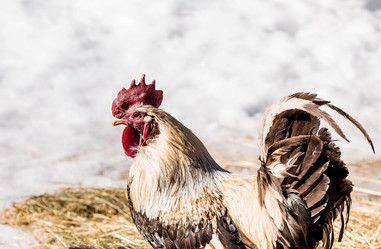 Similar image 21360846