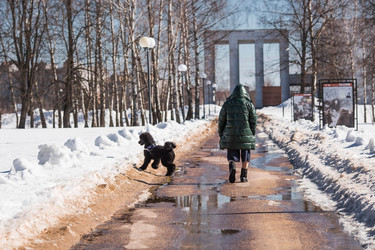 Similar image 21360854