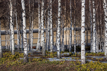 Similar image 21361942