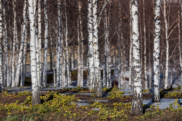 Similar image 21361943