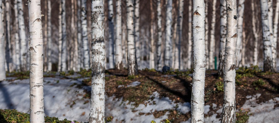 Similar image 21361945