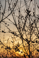 Similar image 21369037