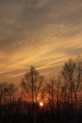 Similar image 21362015