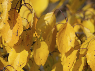 Similar image 21360982