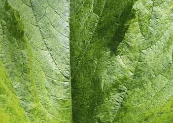 Similar image 21360984