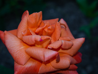 Similar image 21360985