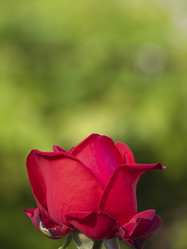 Similar image 21360986