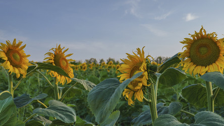 Similar image 21360987