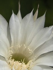 Similar image 21360988