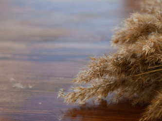 Similar image 21360989