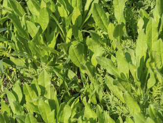 Similar image 21360990