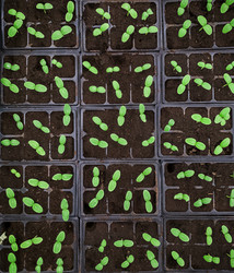 Similar image 21363089