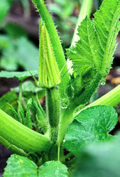 Similar image 21370143