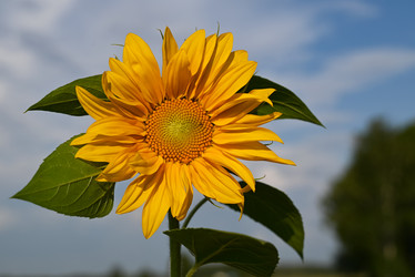 Similar image 21381856