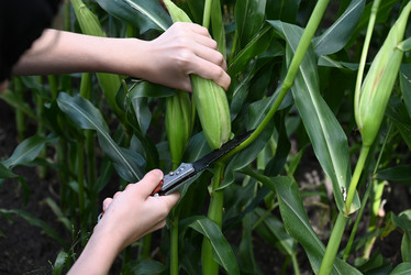 Similar image 21381858