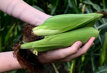 Similar image 21381859