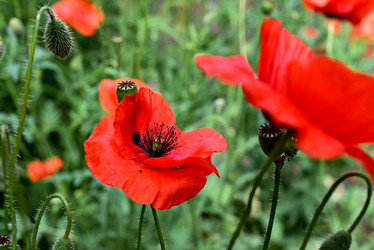 Similar image 21381861