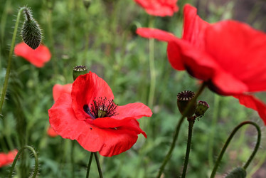 Similar image 21381862