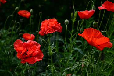 Similar image 21381863