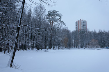 Similar image 21362022