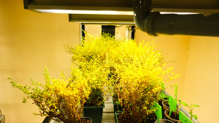 Similar image 21361989