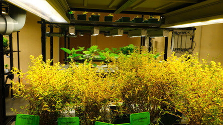 Similar image 21361973