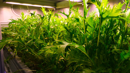 Similar image 21361053