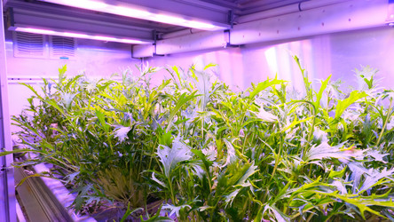 Similar image 21361054