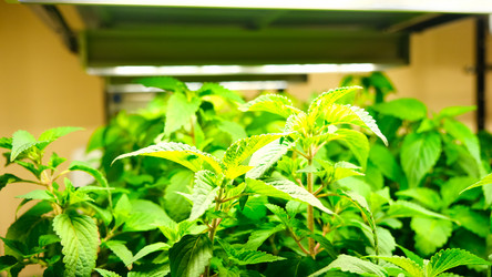 Similar image 21361055