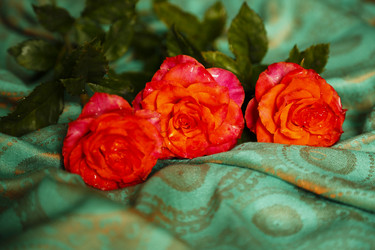 Similar image 21361087