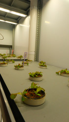 Similar image 21361056