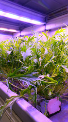 Similar image 21361057