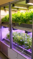 Similar image 21361058