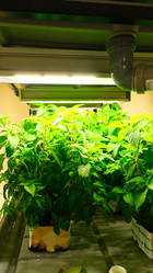 Similar image 21361974