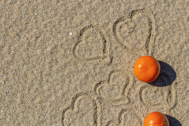 Similar image 21362048