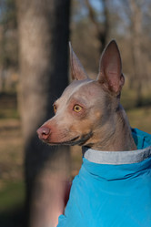 Similar image 21361979