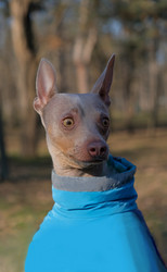 Similar image 21361980