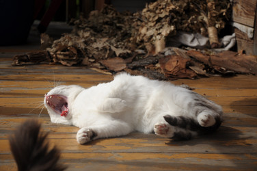 Similar image 21362705