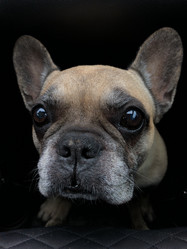 Similar image 21362069