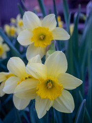 Similar image 21362078