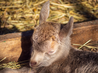 Similar image 21362079