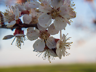 Similar image 21362081