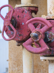 Similar image 21362083